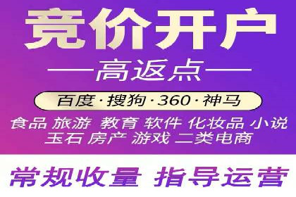 搜索引擎营销（SEM）成功案例详解